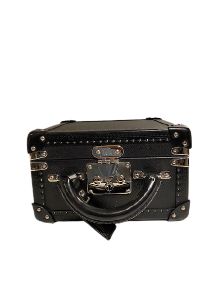 Louis Vuitton Taiga Truck case