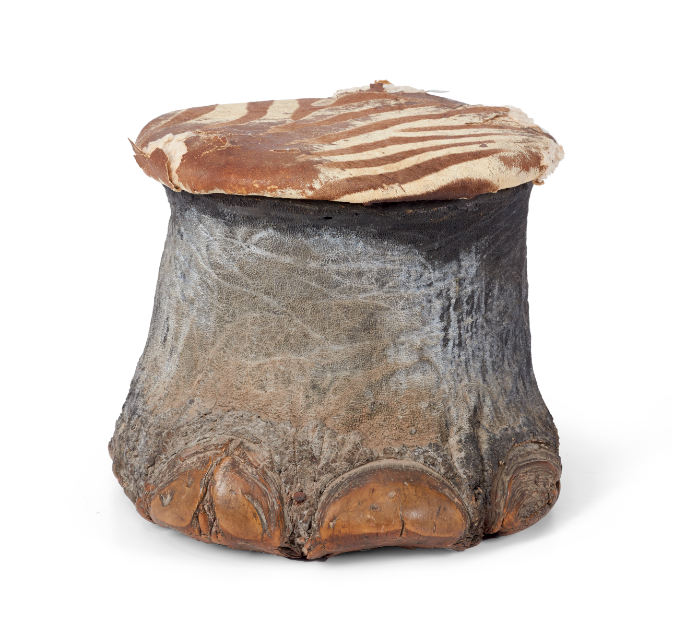 Antique Taxidermy Elephant Foot With Zebra Top