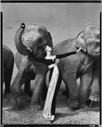Richard Avedon DOVIMA