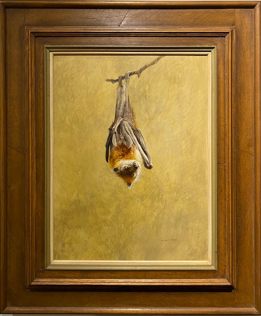 Raymond Ching Flying Fox (Fruit Bat)