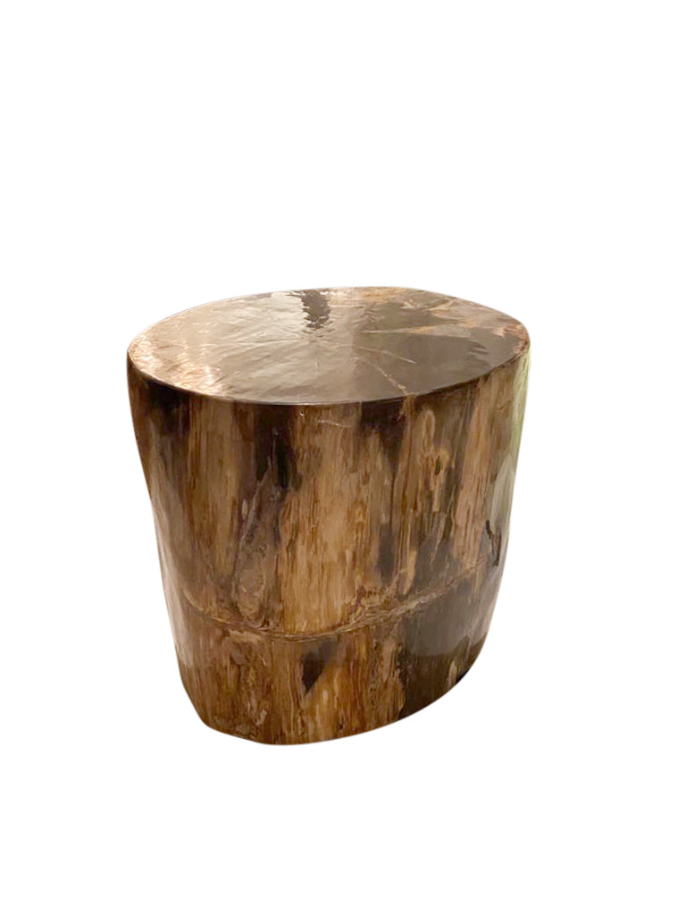 Impressive Petrified Wood Side Table