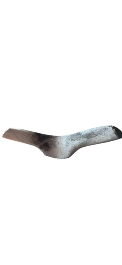 Whale Tail Bone