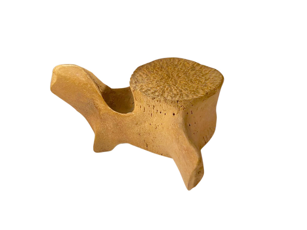 Whale Vertebrae - aptiques by Authentic PreOwned