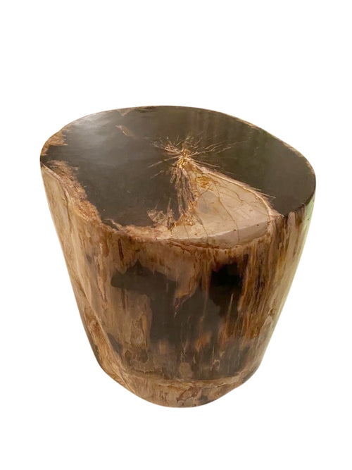 Impressive Petrified Wood  Side Table - aptiques by Authentic PreOwned