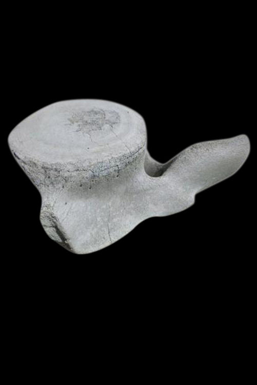 Ancient Blue Whale lumbar vertebra - aptiques by Authentic PreOwned